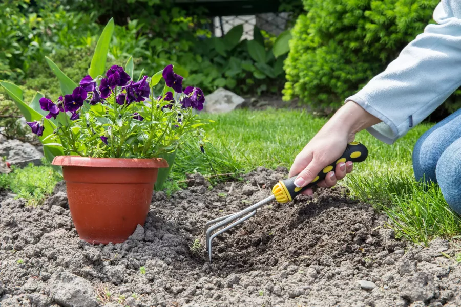 Как работа в саду и огороде влияет на ваше психологическое состояние