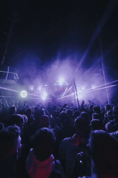 signal.live