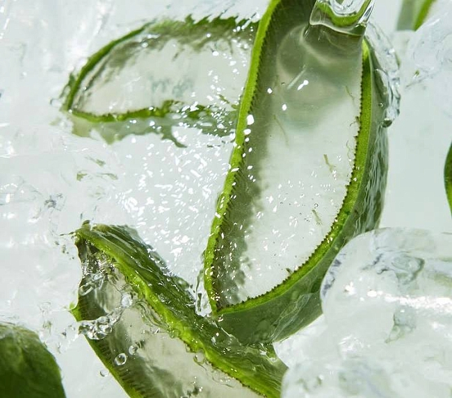 @holikaholika_official