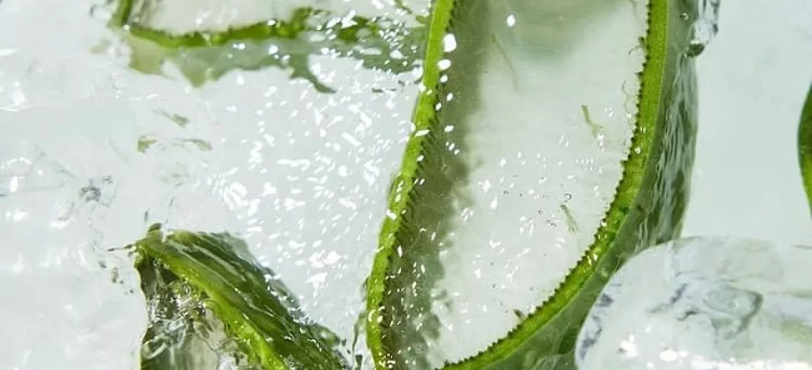 @holikaholika_official