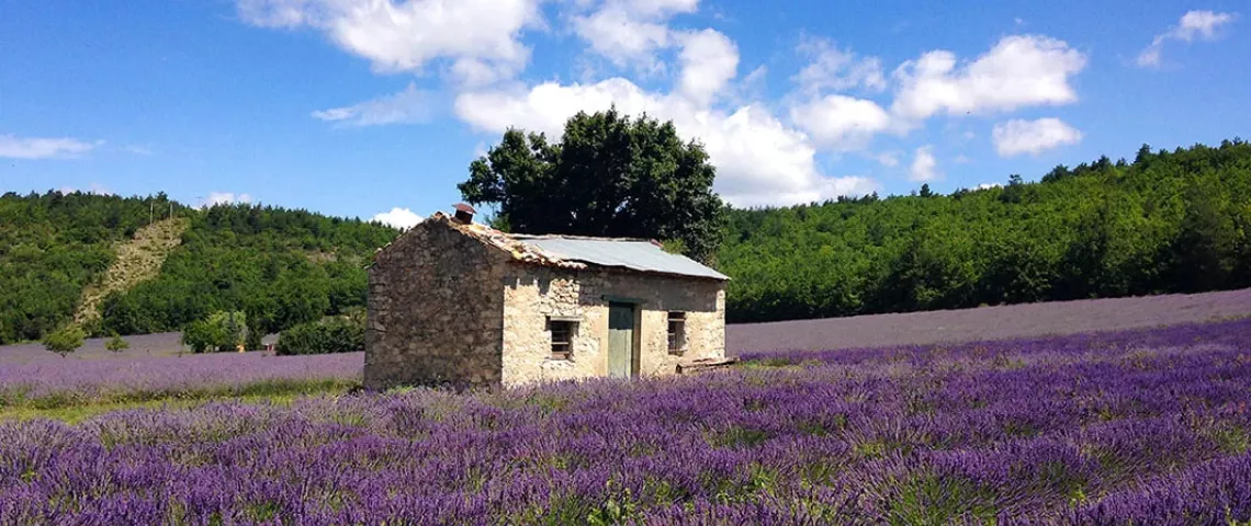 provence-me.com