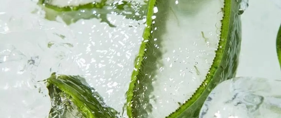 @holikaholika_official