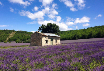 provence-me.com