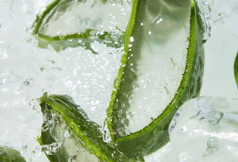 @holikaholika_official