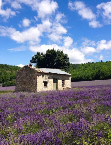 provence-me.com