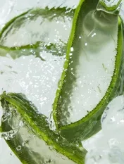 @holikaholika_official